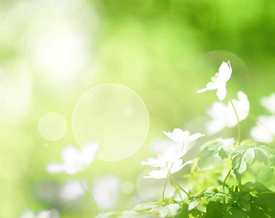 Nr.9 Natrium phosphoricum