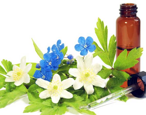 Flüssige Nahrungsergänzungsmittel